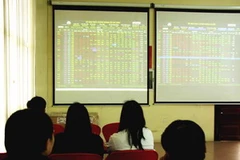 Theo dõi diễn biến chứng khoán tại điểm giao dịch. (Ảnh: Hồng Kỳ/TTXVN)