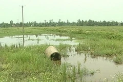 Đất nông nghiệp bị bỏ hoang. (Ảnh: Văn Đức/Vietnam+)
