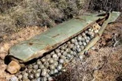 Ảnh minh họa. (Nguồn: Internet)