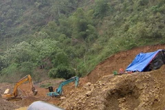 Ảnh minh họa. (Nguồn: Internet)