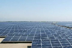 Nhà máy năng lượng mặt trời lớn nhất Nhật Bản ngày 14/5. (Nguồn: KYODO/TTXVN)