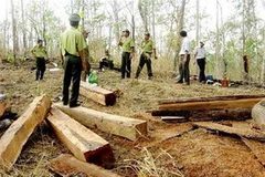 Ảnh minh họa. (Nguồn: Internet)