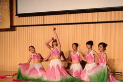 Một tiết mục trong chương trình. (Ảnh: Thanh Tùng-Hồng Hà/Vietnam+)