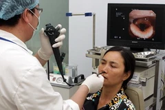 (Ảnh minh họa: Dương Ngọc/TTXVN)