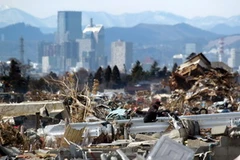 Hội nghị nhằm tham vấn công tác phối hợp trong phòng chống và xử lý hậu quả thiên tai (Nguồn: AFP/TTXVN)