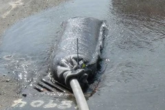 Lọc dầu tại đầu ra của bơm. (Nguồn: Sosenvironment.com)