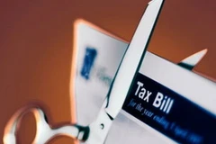 Ảnh minh họa. (Nguồn: Internet)