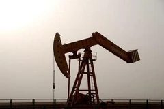 Ảnh chỉ có tính minh họa. (Nguồn: Internet)