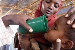 Ảnh minh họa. (Nguồn: AFP/TTXVN)