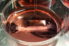 Miếng thịt bò nhân tạo. (Nguồn: PA)