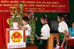 Cử tri đi bầu cử. (Ảnh: Trần Lê Lâm/TTXVN)