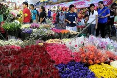 Hoa hồng được bày bán tại thủ đô Manila, Philippines. (Nguồn: AFP/TTXVN)