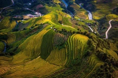 Rực rỡ mùa vàng Mù Cang Chải. (Ảnh: Bùi Văn Lanh/TTXVN)