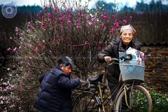 Tác phẩm "Đem tiết Xuân đến mọi nhà" của Trương Tuấn Giang được trao huy chương vàng tại Liên hoan ảnh nghệ thuật khu vực Hà Nội năm 2019. (Ảnh: BTC)