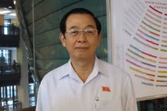 Đại biểu Huỳnh Thành Lập, Trưởng đoàn đại biểu chuyên trách đoàn Thành phố Hồ Chí Minh (Ảnh: Đức Duy/Vietnam+)