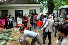 Nhiều bộ ngành mua dưa hấu để giúp người dân tiêu thụ sản phẩm. (Ảnh chỉ mang tính minh họa.Nguồn: Bộ Công Thương)