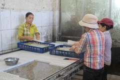 Nhân viên với tay trần, chân đi đất ​đang thoăn thoắt bóc nhân kẹo dẻo (Ảnh: Đức Duy/Vietnam+)