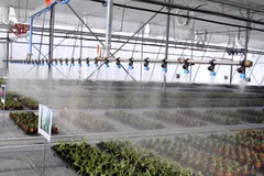 Hệ thống tưới nước trong một khu nhà kính hiện đại. (Ảnh: Mạnh Linh/TTXVN)