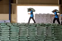 Nhiều nhà phân tích cho rằng, môi trường kinh tế hiện nay của Việt Nam rất yếu, thấp kém ở nhiều lĩnh vực do đó hơn lúc nào hết cần phải có giải pháp đột phá. (Ảnh: TTXVN)