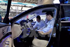 Hình chỉ mang tính minh họa. (Nguồn: TTXVN)