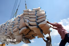 Trong nửa đầu năm 2025, tổng kim ngạch xuất nhập khẩu cả nước đạt 432,1 tỷ USD, tăng 16,1% so với cùng kỳ năm 2024. (Ảnh: TTXVN)