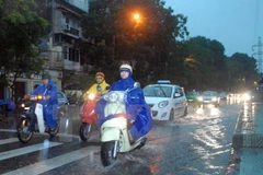 Ảnh minh họa. (Ảnh: Anh Tuấn/TTXVN)