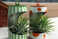 Gameshow đầu tiên và duy nhất trên truyền hình về chủ đề môi trường