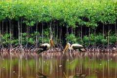 10 sự kiện nổi bật của ngành tài nguyên và môi trường năm 2014 