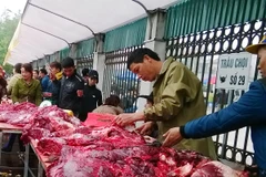 Thịt trâu chọi Phúc Thọ giá “cắt cổ” gấp 3 lần bò Úc 