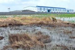 Việt Nam-Đức đẩy mạnh hợp tác xử lý hóa chất tồn lưu trong đất 