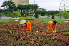 Hà Nội đặt mục tiêu tăng tỷ lệ bình quân cây xanh lên gấp 6 lần