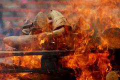 Cận cảnh tiêu hủy kho sừng tê giác lớn nhất châu Âu