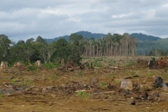 Những hình ảnh “nóng” về đất đai, môi trường năm 2013