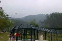 Khánh thành "ngôi nhà gấu" lớn nhất Việt Nam ở Tam Đảo