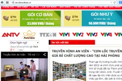 Việt Nam là quốc gia cấp tên miền đa ngữ nhiều nhất thế giới