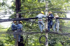 Tiến hành rà soát toàn bộ hệ thống cáp treo trên cột điện