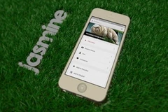 (Nguồn: venturebeat.com)