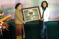 (Ảnh: Trần Tiến Duẩn/Vietnam+)