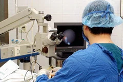 (Ảnh minh họa: Hữu Oai/TTXVN)