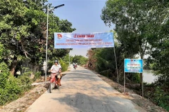 Người dân đi lại thuận lợi trên Đoạn đường kiểu mẫu có đèn chiều sáng tại huyện Bến Lức. (Ảnh: Đức Hạnh/TTXVN)