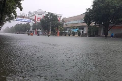 Hai ngày đầu tuần Bắc Bộ, Bắc Trung Bộ có mưa dông. (Ảnh: Hoàng Ngà/TTXVN)