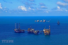 Giàn khoan của Liên doanh Vietsovpetro tại mỏ Bạch Hổ (thuộc PVN). (Ảnh: Huy Hùng/TTXVN)