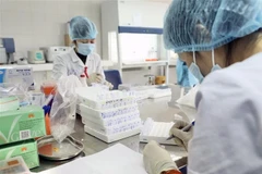 Xét nghiệm các đối tượng F1, F2, F3 của những bệnh nhân đã được phát hiện. (Ảnh: Minh Quyết/TTXVN)