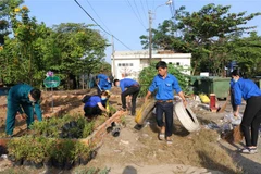 Các đoàn viên, thanh niên xã Hòa An, thành phố Cao Lãnh, Đồng Tháp bắt tay thực hiện mô hình bãi rác vườn hoa. (Ảnh: Chương Đài/TTXVN)