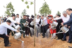 Thủ tướng Nguyễn Xuân Phúc và các đại biểu tham gia Lễ phát động Tết trồng cây. (Ảnh: Thống Nhất/TTXVN)