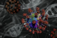 Virus corona. (Nguồn: globalist.it)