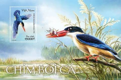 Phát hành bộ tem bưu chính góp phần bảo tồn loài chim bói cá