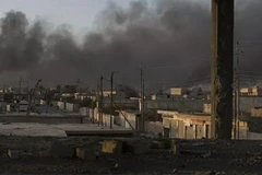 (Ảnh: Sputnik/TTXVN)