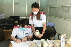  (Ảnh: Đinh Hằng/TTXVN)