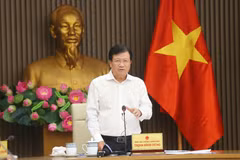 Phó Thủ tướng Trịnh Đình Dũng phát biểu chỉ đạo buổi làm việc. (Ảnh: Doãn Tấn/TTXVN)